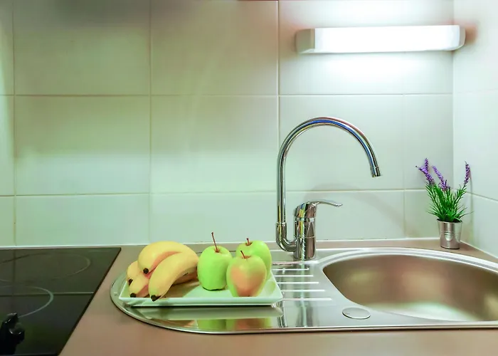 Appart'city Classic 3* 瓦朗斯